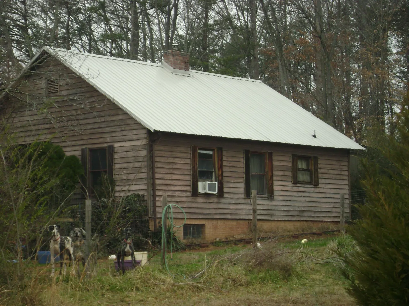 White metal roof on an old wood sided farmhouse, from a Metal Roof Installation job in Mapleton